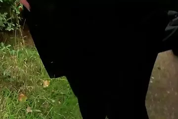 Những cô gái Nga hư hỏng đã trao xxx hàn quôc thân cho giới trẻ trong tất cả các vết nứt.